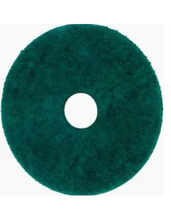 DISCO 350 LIMPADOR VERDE TININDO